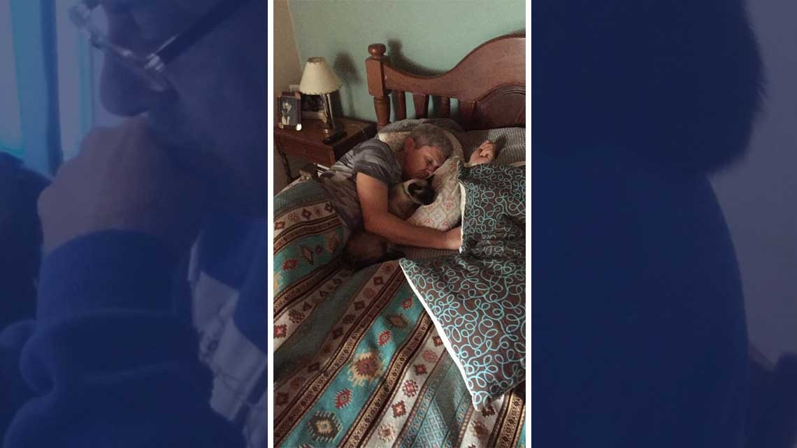 ¡No quiero animales!, días después...