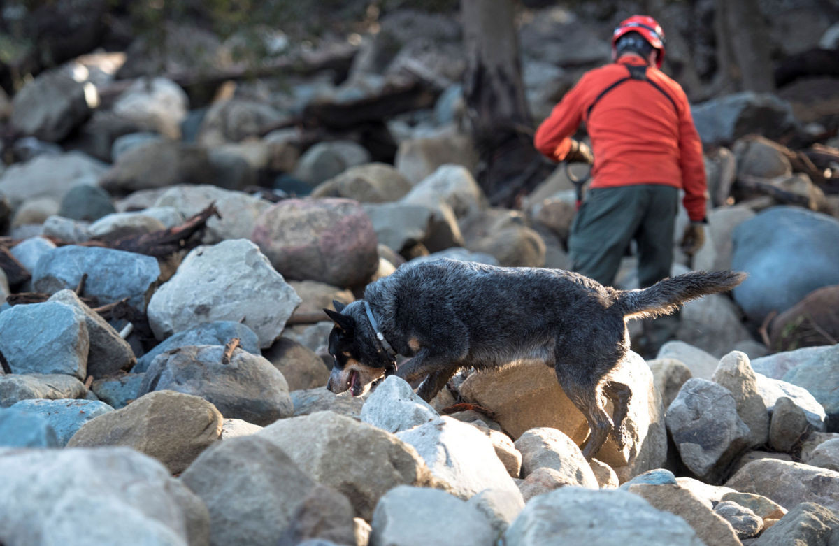 17 muertos por aludes en California