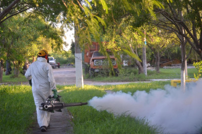 Parques y Jardines a marchas forzadas por falta de personal