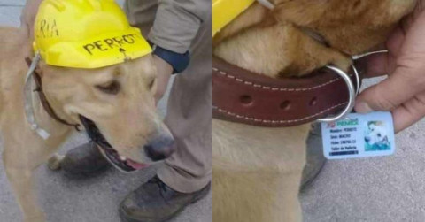 ‘Perrote’ trabaja en refinería de Madero