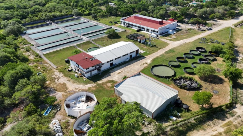 Fortalece Gobierno del Estado infraestructura educativa en la Universidad Tecnológica del Mar de Tamaulipas Bicentenario