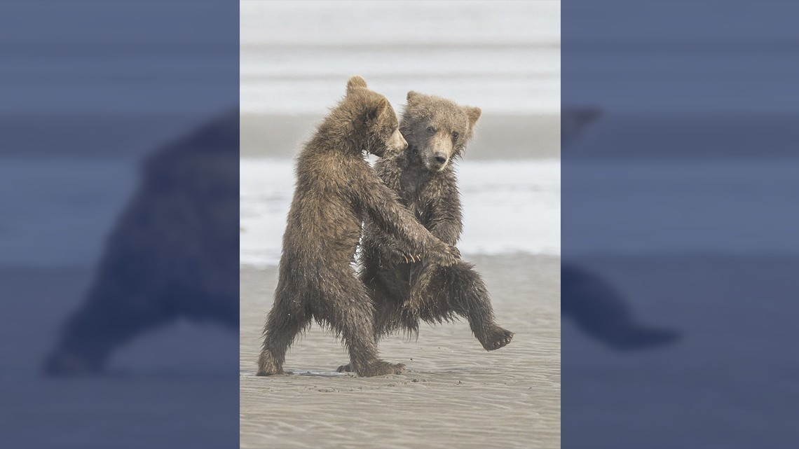 Las fotos más cómicas de la naturaleza