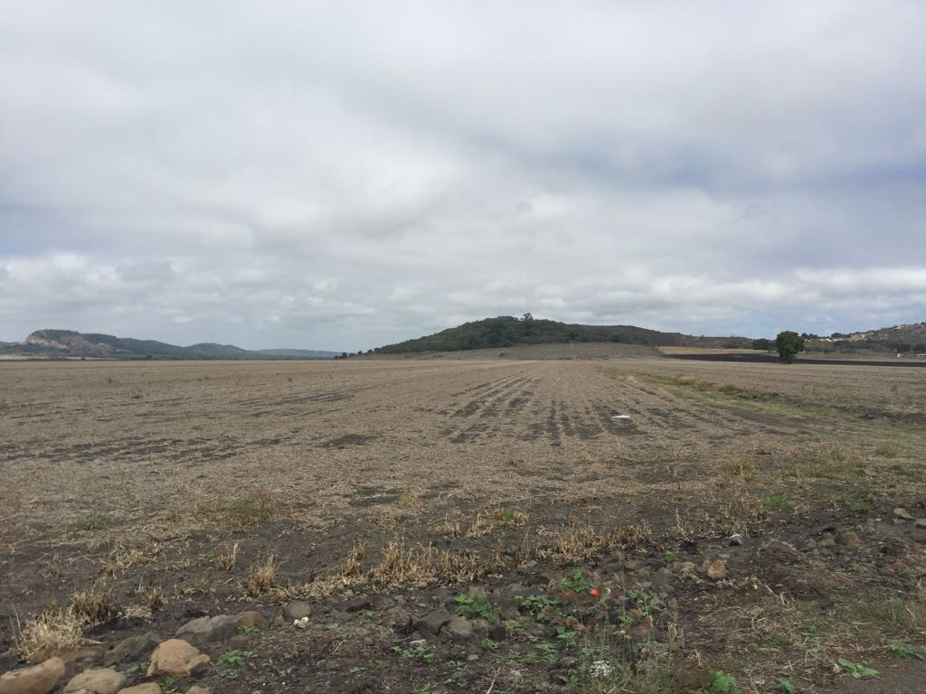 En crisis el campo por falta de lluvias