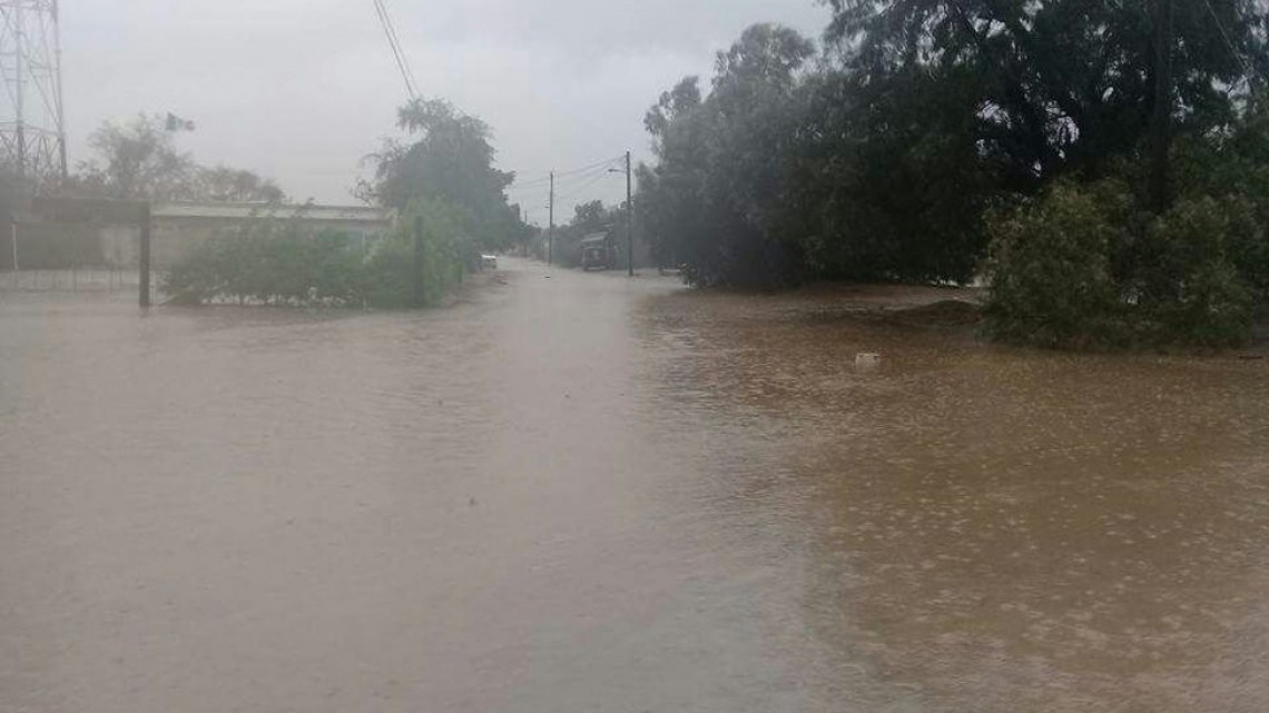 Lidia deja innumerables daños a su paso