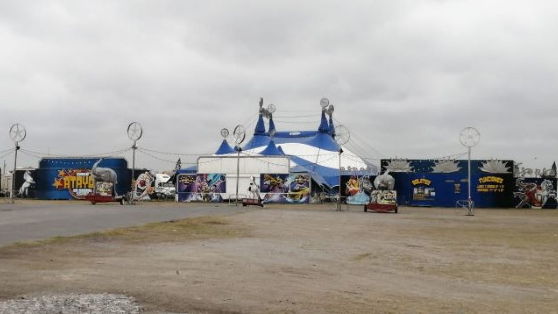 De la Carpa a la venta de frutas debido al Covid-19
