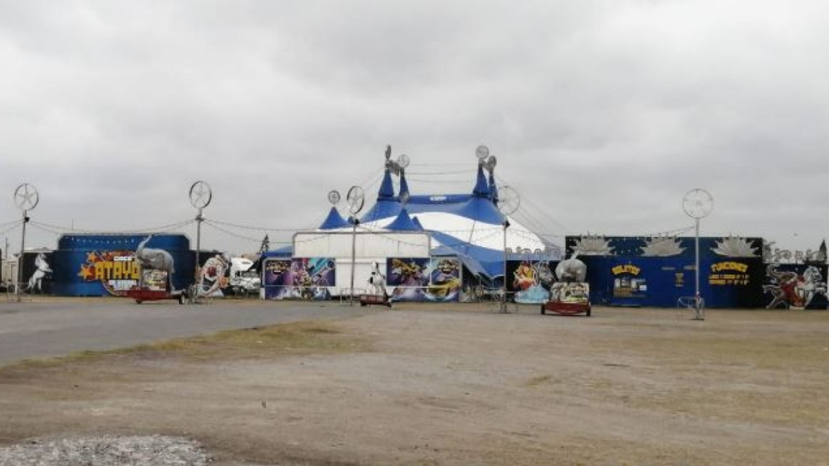 De la Carpa a la venta de frutas debido al Covid-19