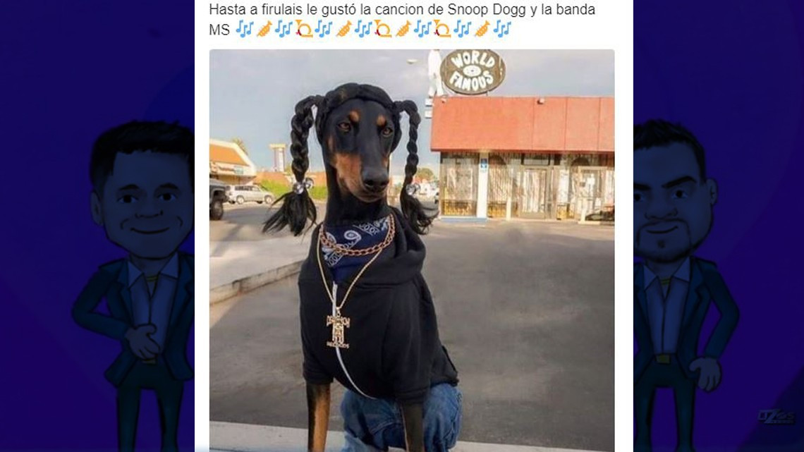 Redes sociales reaccionan con memes a la nueva canción de Banda MS con Snoop Dogg