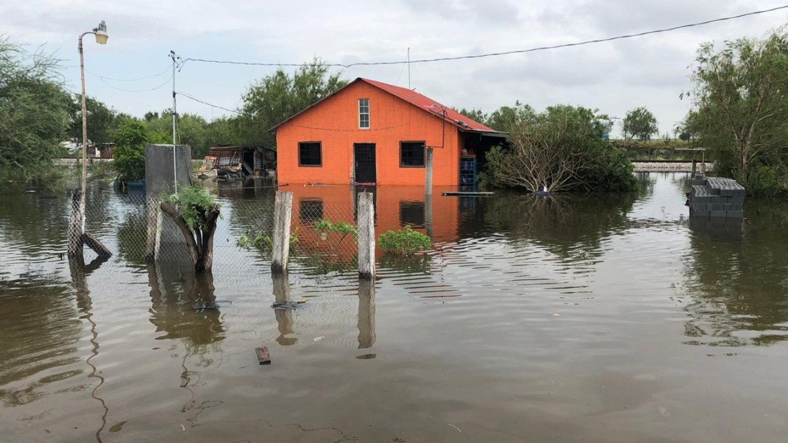 Deja 'Hanna' pérdidas millonarias al campo tamaulipeco