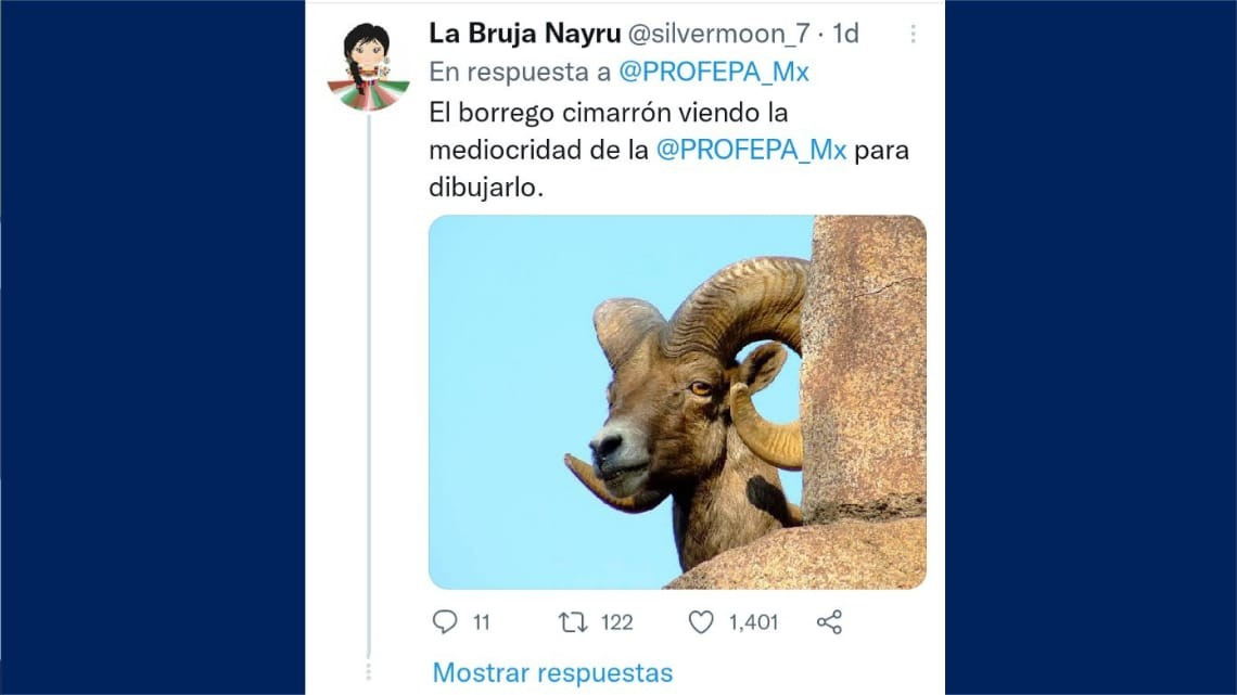 Tunden a la Profepa en redes por sus diseños de flora y fauna mexicana