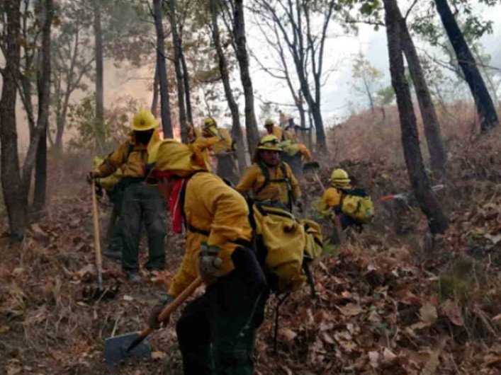 Hay 46 incendios forestales activos en el país