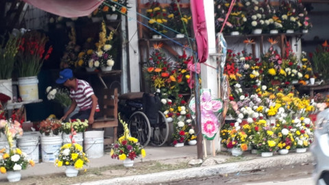 Saldo blanco en cementerios en la celebración de los fieles difuntos