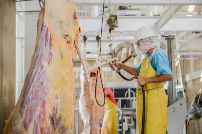 Habrá laboratorio de análisis animal