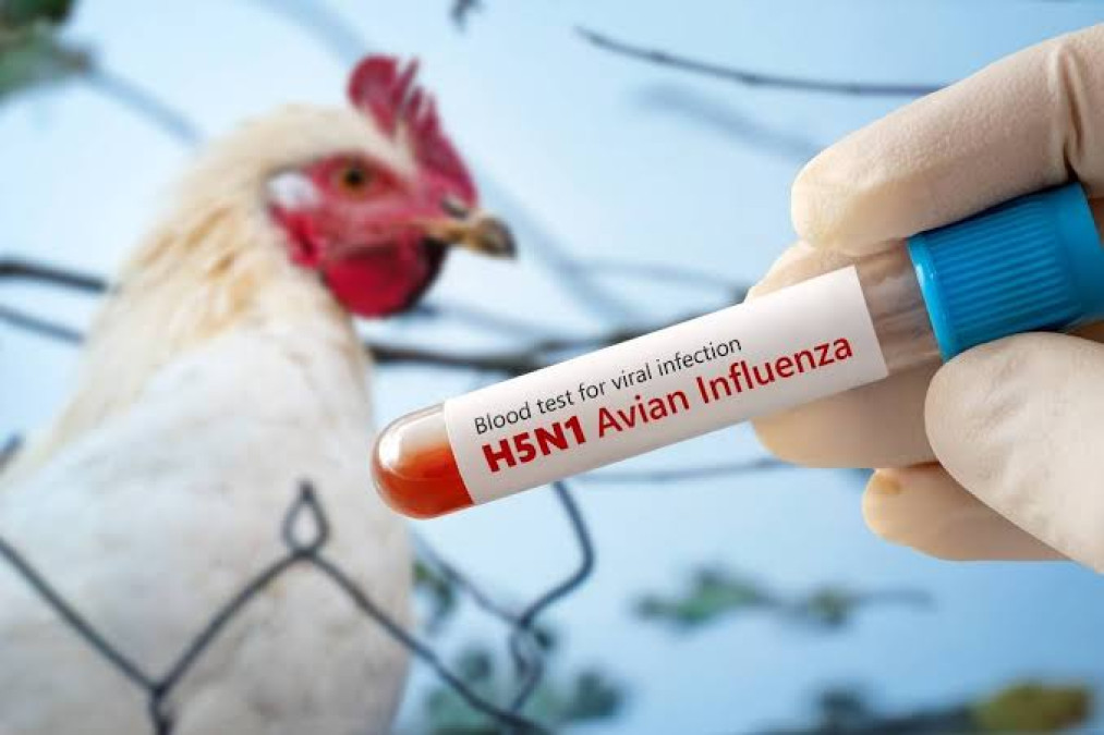 Secretaría de Salud confirma el primer caso de influenza aviar H5N1 en México 