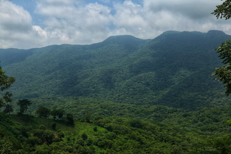 Actualiza SEDUMA programa para protección de Biósfera El Cielo