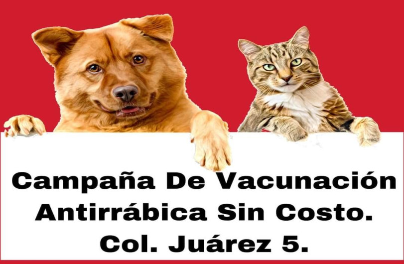 Invitan a campaña de vacunación antirrábica sin costo