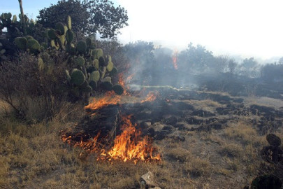 En aumento los incendios en zacatales 