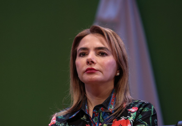 TEPJF prevé confirmar exclusión de Carla Humphrey a presidencia del INE