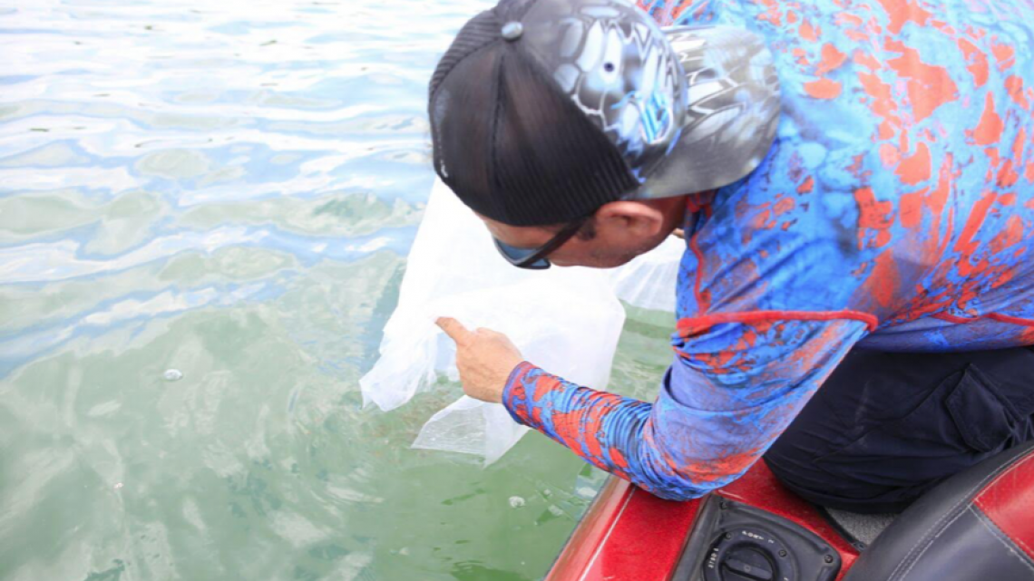 Gobierno de Tamaulipas, pescadores deportivos y comerciales llevan a cabo programa de repoblamiento de Lobina en la Presa Vicente Guerrero