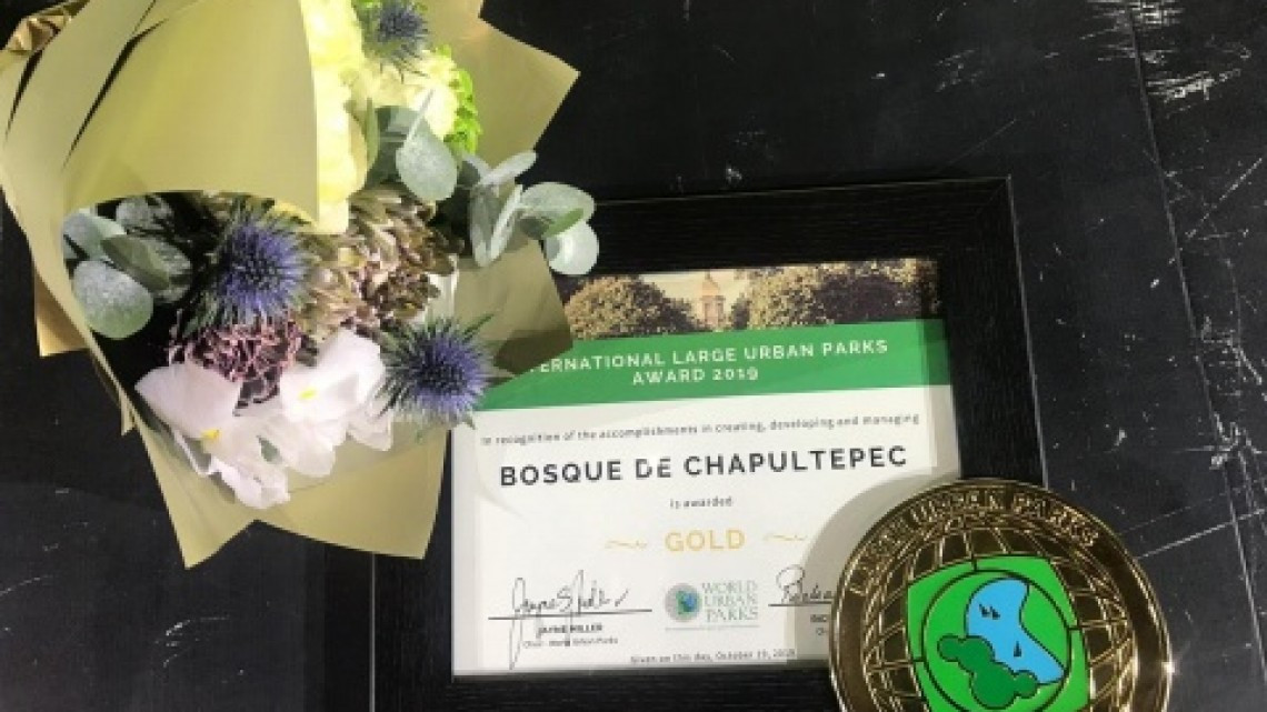 El mejor parque del mundo está en México, conócelo aquí