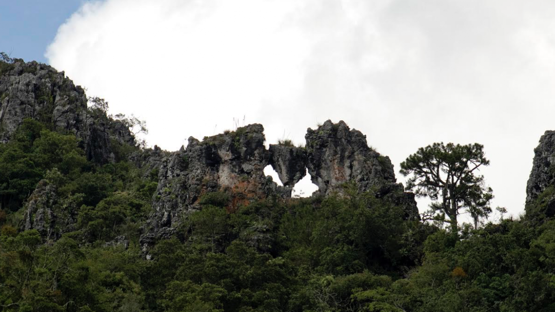 Protege Tamaulipas áreas naturales 