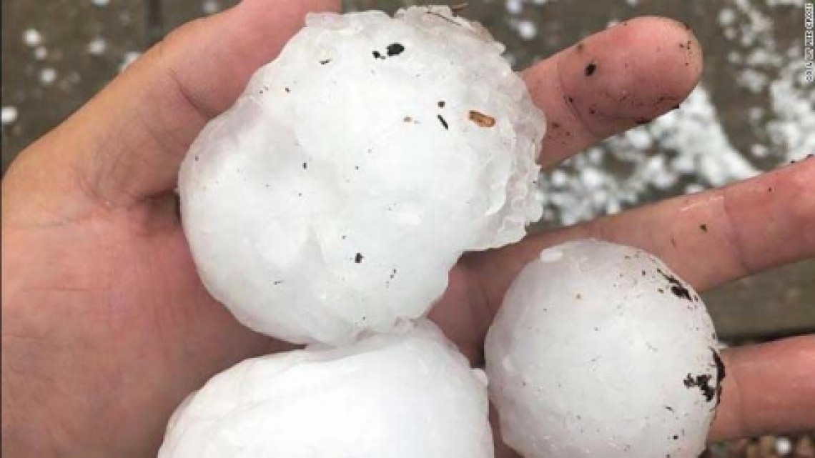 Granizada en EU mata a 2 animales en zoológico