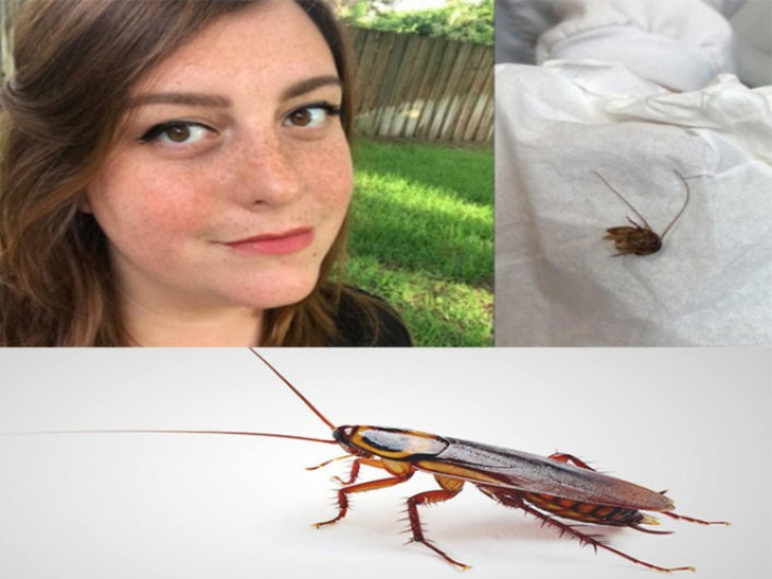 Cucaracha vive por 10 días en oído de mujer
