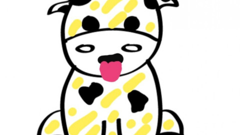 Sergio Mayer, preocupado por la "vaquita amarilla"