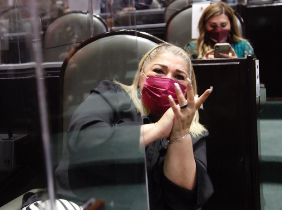 El pleno de la cámara aprobó la ley de juicio político, Adriana Lozano a favor