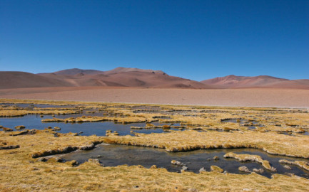 ¡Increíble! Llueve en el desierto de Atacama
