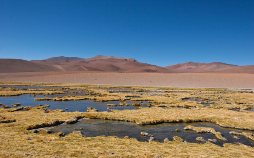 ¡Increíble! Llueve en el desierto de Atacama