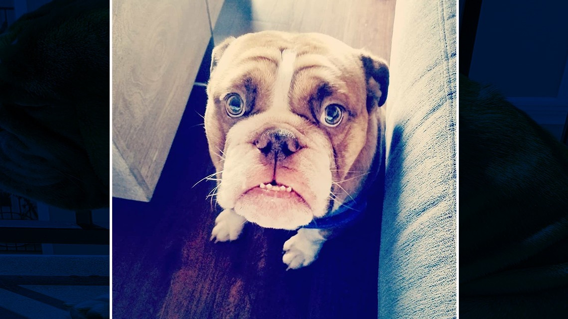 "Big Poppa" conmueve las redes sociales por mostrarse triste ante el Covid-19