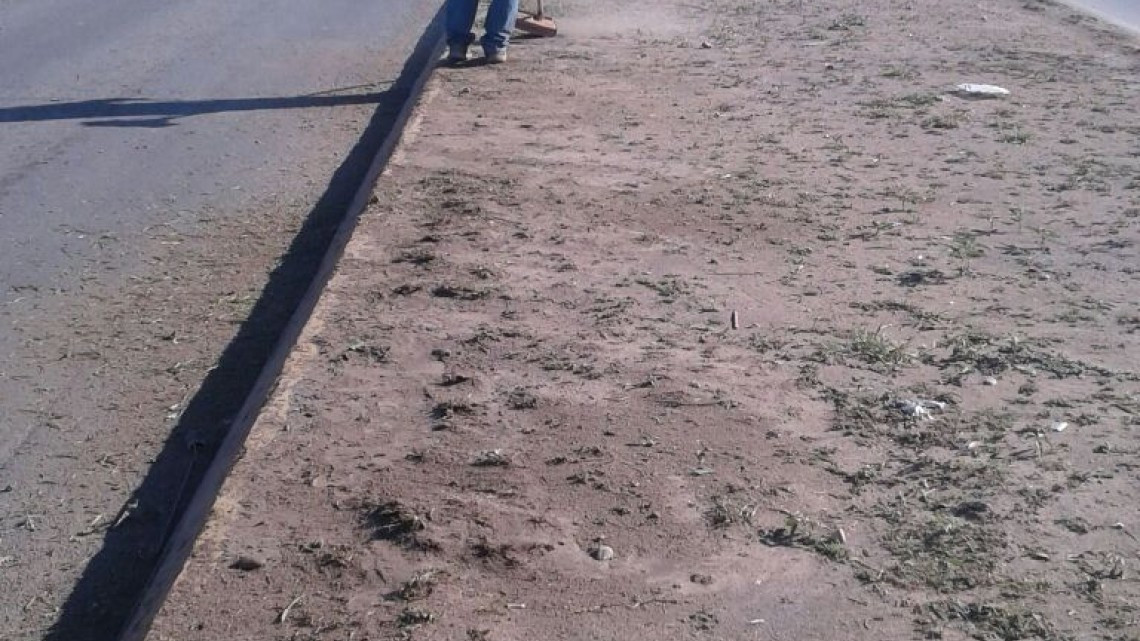 Desarrolla Servicios Primarios labores de limpieza