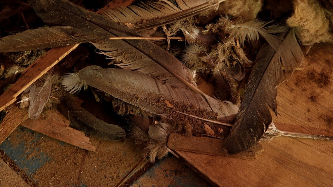 Abrirán túneles de la Segunda Guerra Mundial