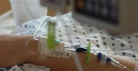 Dan de alta a niña que presentaba mordedura de murciélago 