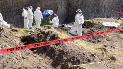 Restos óseos localizados en CDMX pertenecen a animales