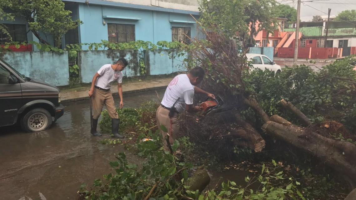 Vientos de huracán Katia derrumban árboles y dejan sin luz a colonias