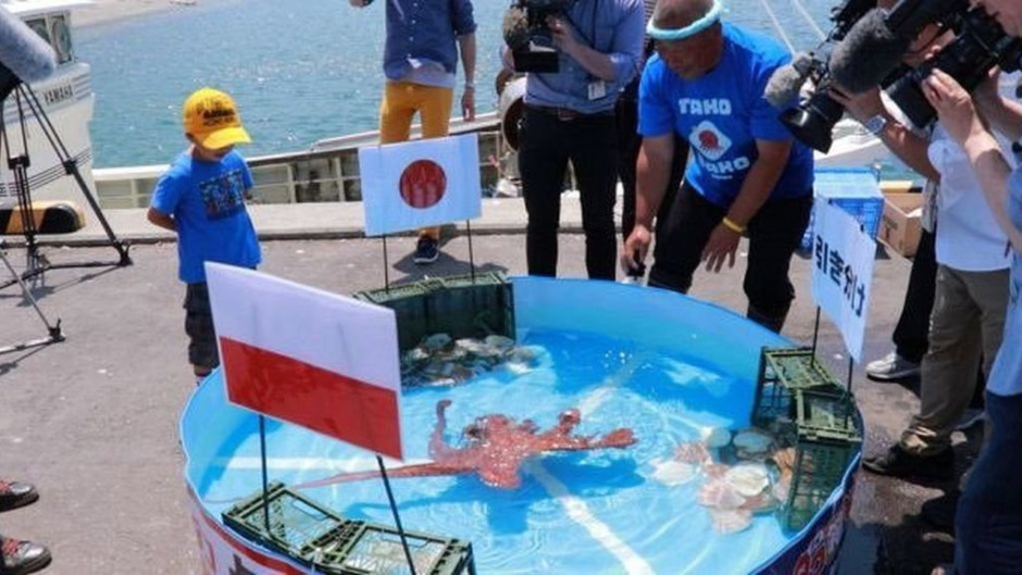 Matan al pulpo que predecía el futuro de los partidos de Japón