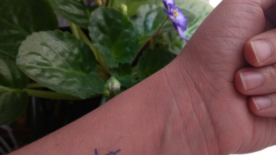 Llega el #JonBoyChallenge