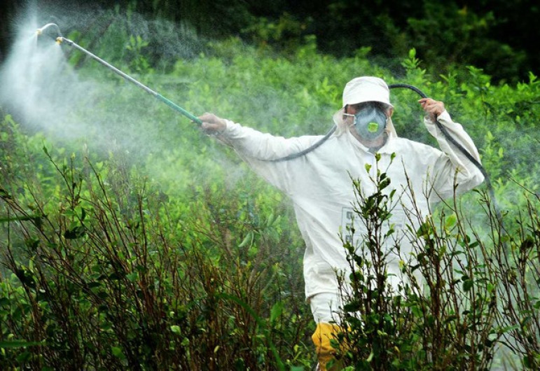 Condenan propuesta de rociar químicos para hallar a migrantes
