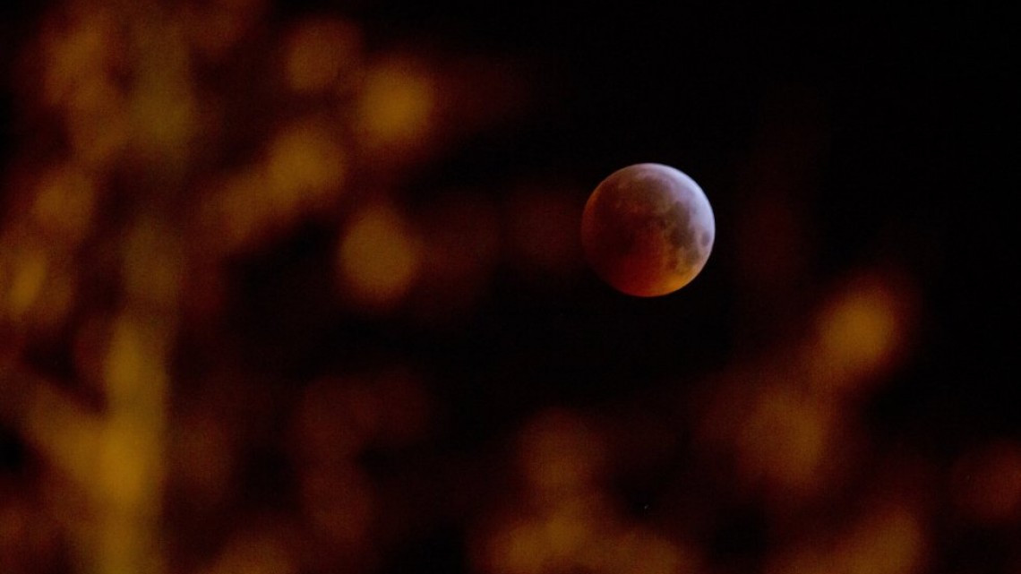 La "Superluna de sangre de lobo" en fotos