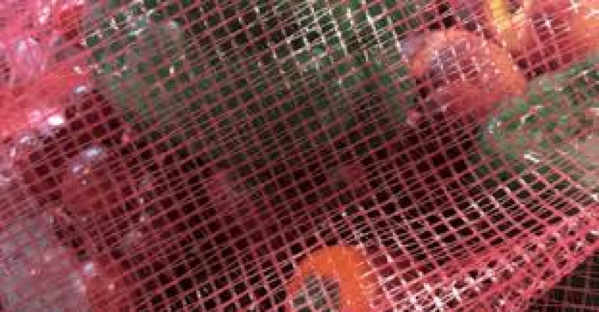 Banco de Alimentos en RGV organizará una entrega masiva de despensas