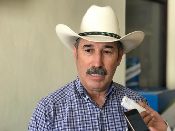 Lluvias benefician al sector ganadero