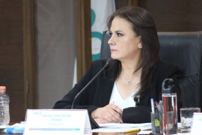 Se viola ley de datos personales en caso María Amparo Casar: Comisionada del INAI