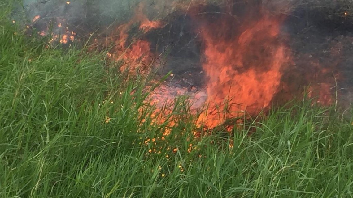 Preparan acciones preventivas para la celebración de fin de año