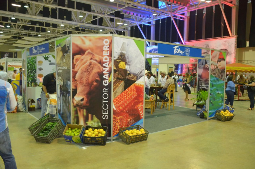 Tampico se alista para V Congreso Mundial de Ganadería Tropical 