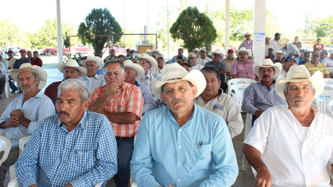 Tamaulipas destaca en producción de naranja