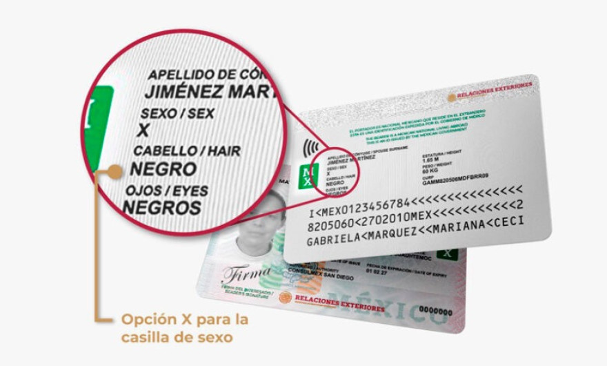 SRE lanza el primer documento oficial para personas no binarias en el extranjero