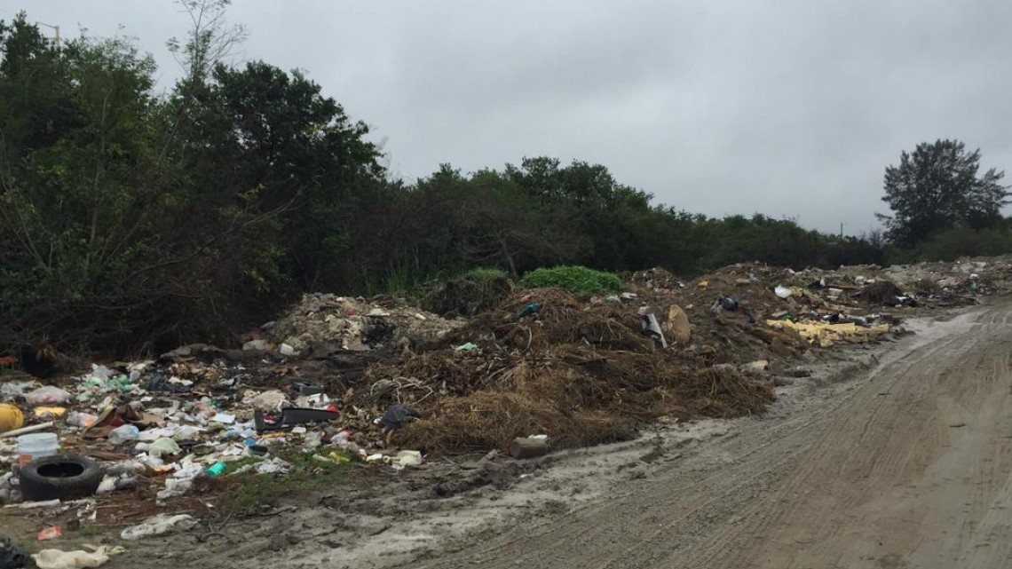 Tala inmoderada amenaza el mangle en Altamira