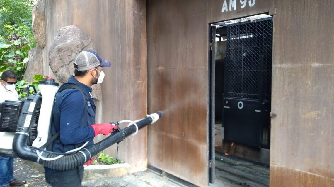 Tamatán intensifica acciones de sanidad