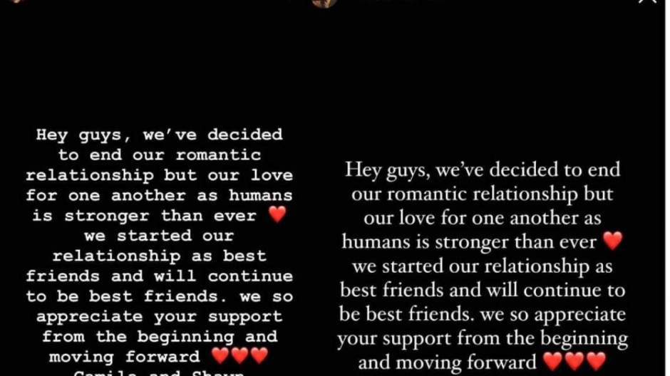 Camila Cabello y Shawn Mendes terminan su relación después de dos años